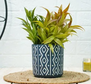 Ceramic Pots for Plants | Blue Trellis Pattern