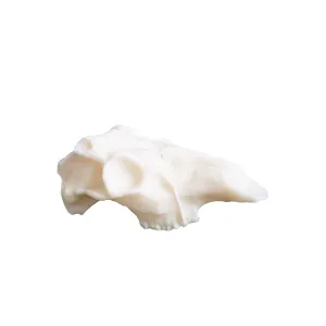 Deer Skull Candle