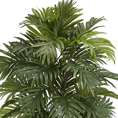 Fourwalls Beautiful Artificial Areca Palm Plant Without Vase (21 Leaves, 75 cm Tall, Green, Set of 2)