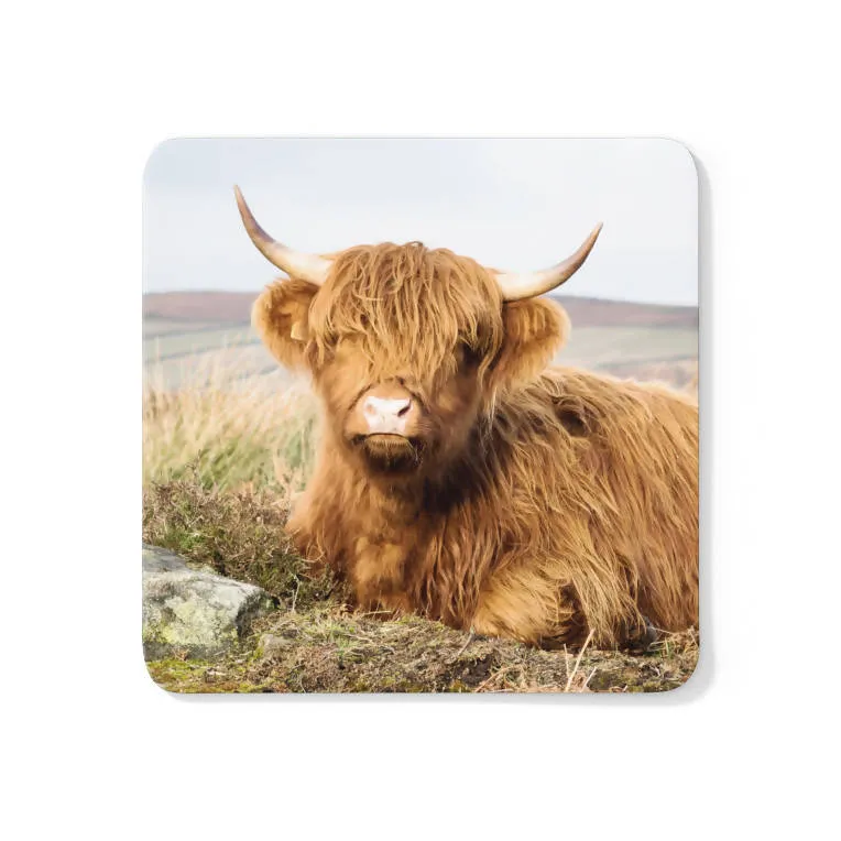 Highland Calf Coaster