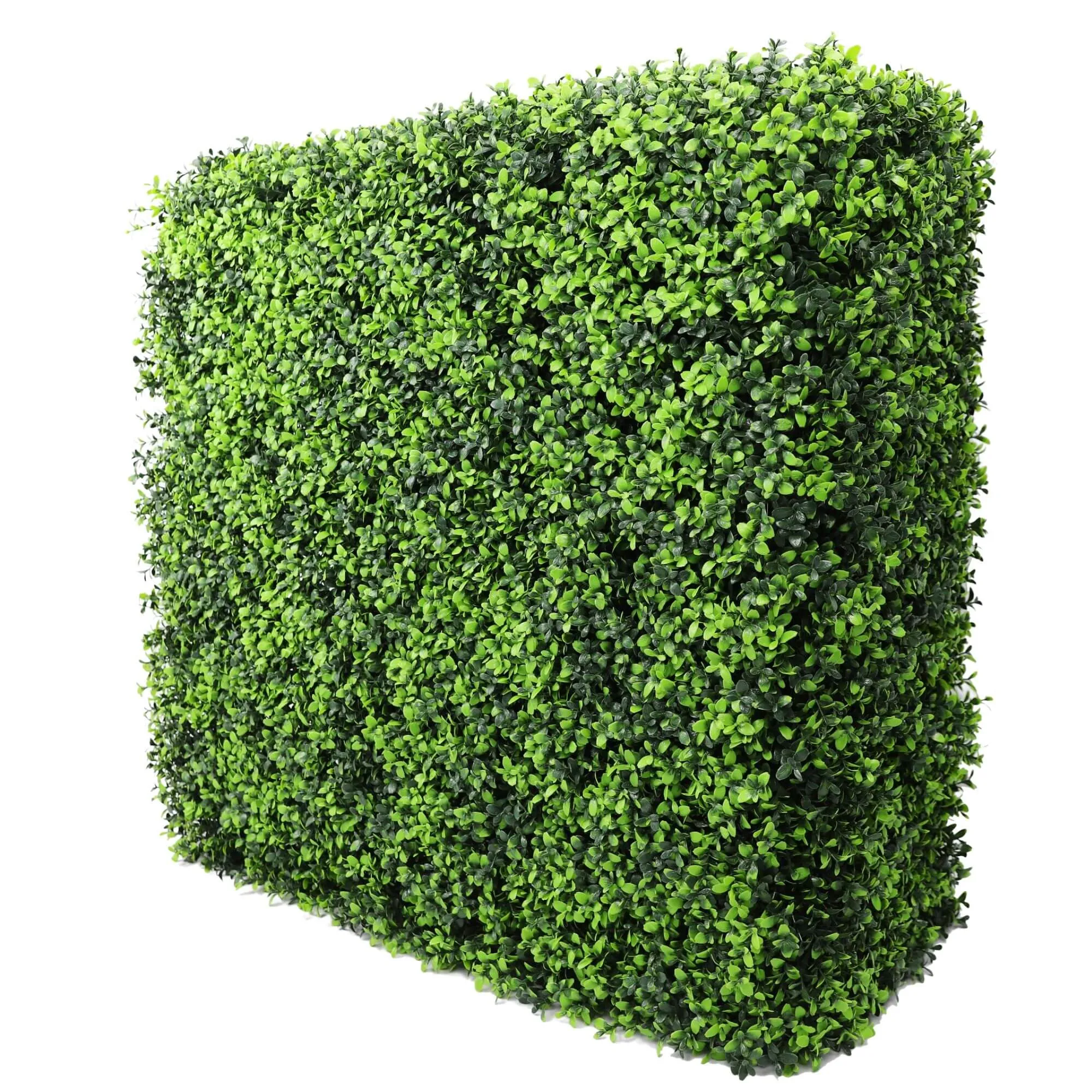 Portable Buxus Artificial Hedge UV Resistant 75cm x 75cm