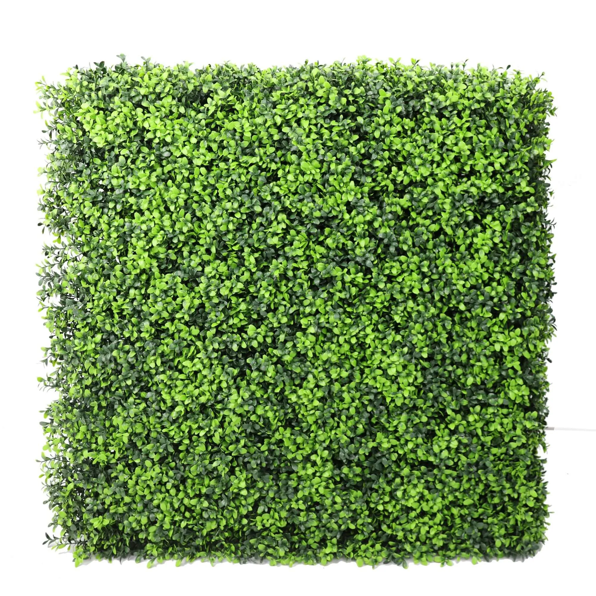 Portable Buxus Artificial Hedge UV Resistant 75cm x 75cm