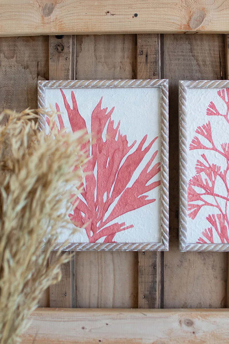 Set of Four Coral Prints With Wooden Frames